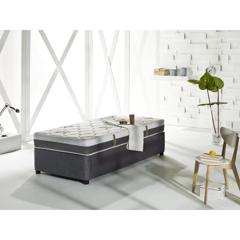 Latitude Run® Four Seasons Twin XL Daybed with Trundle and Mattress